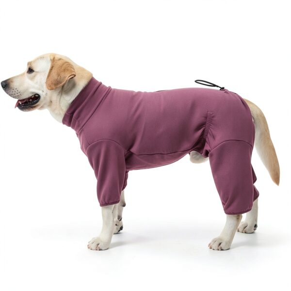Dog Recovery Suit Shenzhen Mengduodu Stretchable Four Leg-3