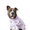 Spark Paws Dog Pajamas 4-Way Stretch Fleece Recovery Suit-4