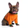 KOESON Dog Front Leg Sleeve Breathable Recovery Suit-1