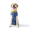 Kzrfojy Dog Recovery Suit Breathable Alternative to Cone-4