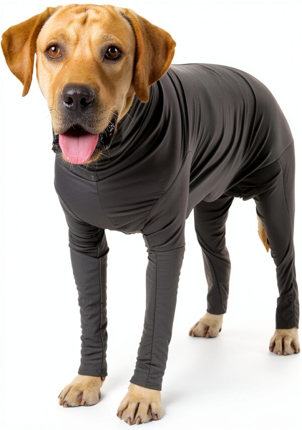Pawcomon Dog Recovery Suit Lightweight Breathable Pet-0