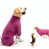 Dog Recovery Suit Shenzhen Mengduodu Stretchable Four Leg-5