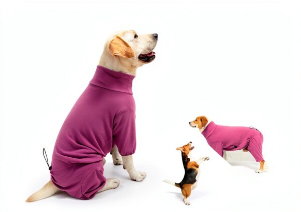 Dog Recovery Suit Shenzhen Mengduodu Stretchable Four Leg-5