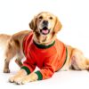 KOESON Dog Front Leg Sleeve Breathable Recovery Suit-3