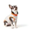 SAWMONG Dog Recovery Suit Breathable Cotton Spandex Surgery-5
