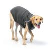 Dotoner Dog Surgery Suit Recovery Wear Breathable Stretchy-4