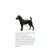 V.PET.B.R Dog Surgery Recovery Suit Elastic Breathable-1