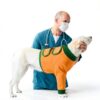 KOESON Dog Front Leg Sleeve Breathable Recovery Suit-4