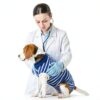 PELUKOA Dog Recovery Suit Blue Breathable Surgery-3