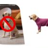 Dog Recovery Suit Shenzhen Mengduodu Stretchable Four Leg-6
