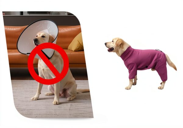 Dog Recovery Suit Shenzhen Mengduodu Stretchable Four Leg-6