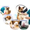 Lukovee Dog Recovery Suit Soft Breathable Post Surgery-5