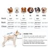 PELUKOA Dog Recovery Suit Blue Breathable Surgery-5