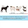 Lukovee Dog Surgery Recovery Suit Soft Cotton Spandex-4