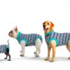 Sebidtco Dog Surgery Recovery Suit Spay Alternative Cotton-4