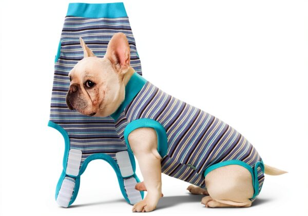 Sebidtco Dog Surgery Recovery Suit Spay Alternative Cotton-0