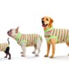 Sebidtco Dog Surgery Recovery Suit Spay Alternative Cotton-4