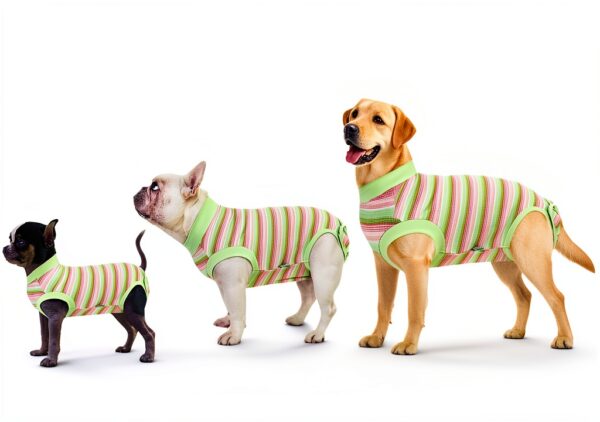 Sebidtco Dog Surgery Recovery Suit Spay Alternative Cotton-4