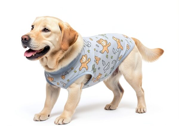 PetWarm Dog Recovery Suit Cotton E-collar Alternative Sizes-6