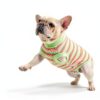 Sebidtco Dog Surgery Recovery Suit Spay Alternative Cotton-1