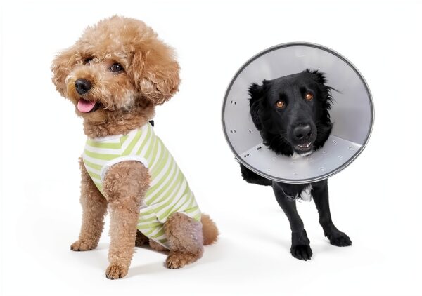 Paipeper Dog Recovery Suit Soft Surgical Alternative-3
