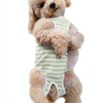 Paipeper Dog Recovery Suit Soft Surgical Alternative-0