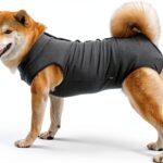 Dotoner Pet Recovery Suit Elastic Fabric Button Design-0