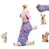 PetWarm Dog Recovery Suit Cotton E-collar Alternative Sizes-4