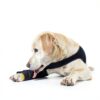 Pawfun Dog Front Leg Sleeve Licking Protection Durable-4
