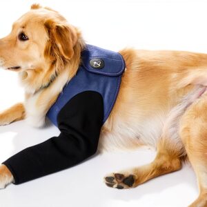 Hanfu Dog Leg Sleeve Waterproof Wear Resistant Pet-0