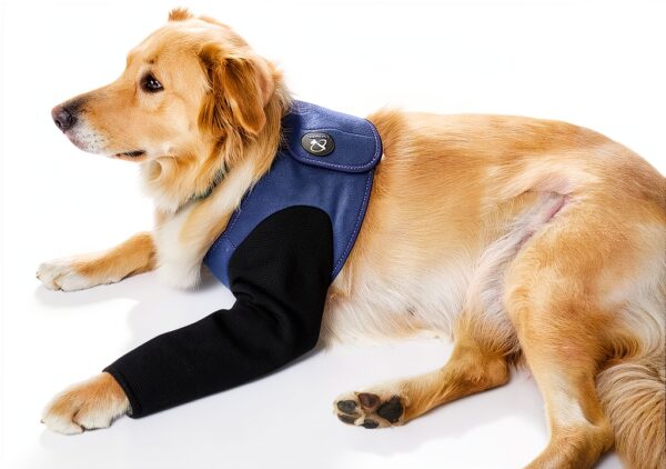 Hanfu Dog Leg Sleeve Waterproof Wear Resistant Pet-0