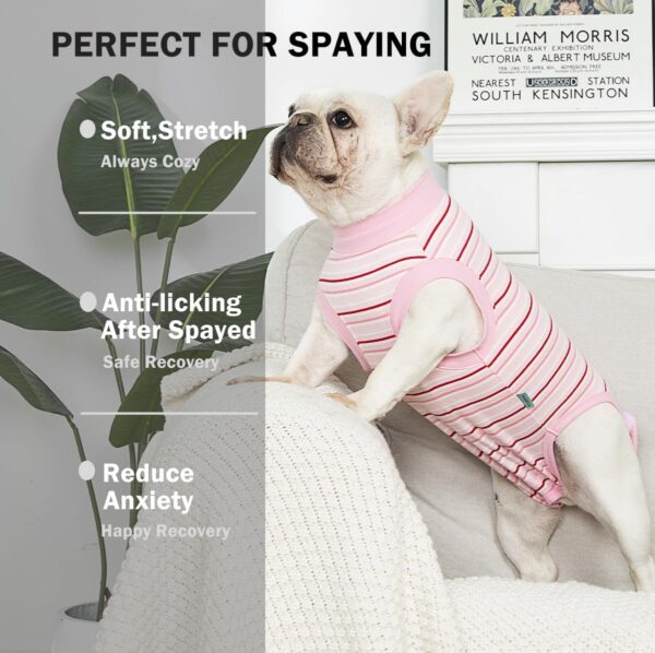 Sebidtco Dog Surgery Recovery Suit Cotton Spandex Cone-1