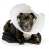 Pawfun Dog Front Leg Sleeve Licking Protection Durable-1
