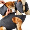 Dotoner Pet Recovery Suit Elastic Fabric Button Design-1