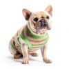 Sebidtco Dog Surgery Recovery Suit Spay Alternative Cotton-3