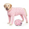 Yeapeeto Dog Recovery Suit Breathable Cone Alternative Sizes-4