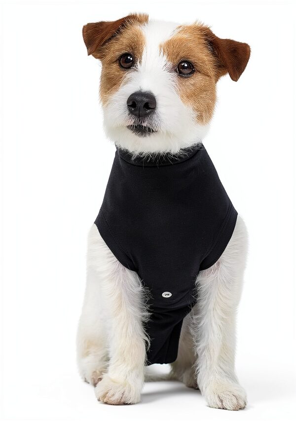 Dog Recovery Suit Suitical Cotton Lycra Fit-0