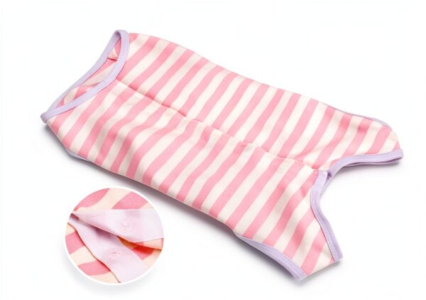 Pet Recovery Suit by Paiaite for Dogs-3