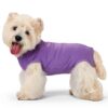 Dog Recovery Suit Coppthinktu Soft Zip Design-1