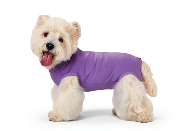 Dog Recovery Suit Coppthinktu Soft Zip Design-1