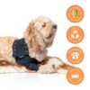 Suitical Double Sleeve for Dogs Recovery-8