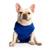 Surgi Snuggly Dog Recovery Suit XLL BB-XLL-EC Super Hero Medium-3
