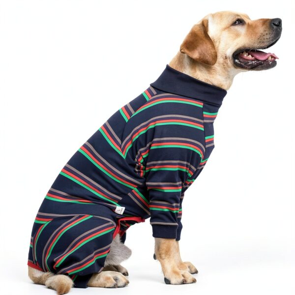 Dotoner Dog Recovery Suit for Spayed Neutered Pets-1