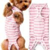 Pet Recovery Suit by Paiaite for Dogs-1