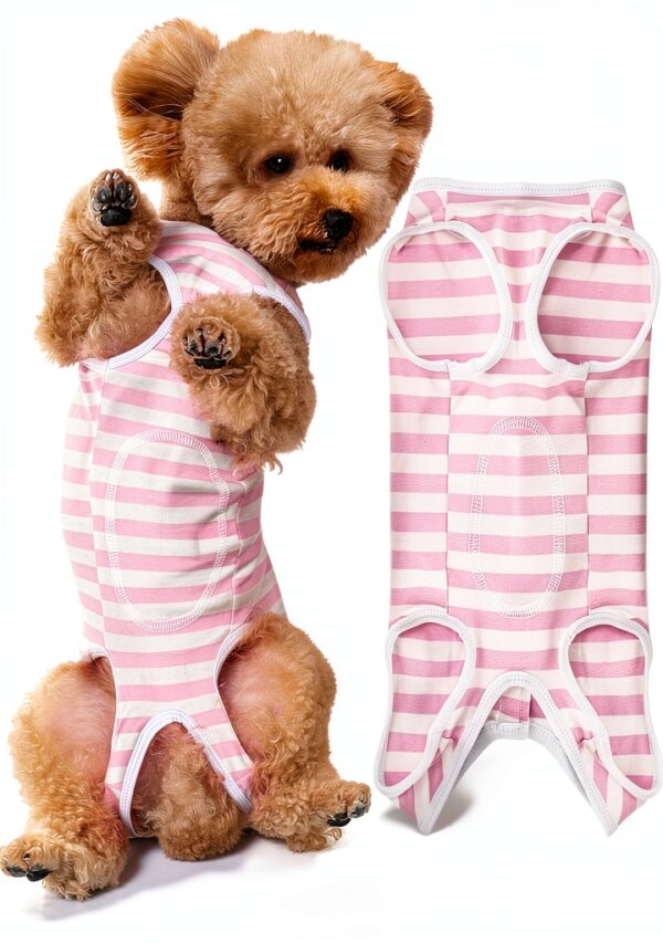 Pet Recovery Suit by Paiaite for Dogs-1