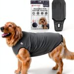 BellyGuard Dog Recovery Suit for Small Dogs Grey-0