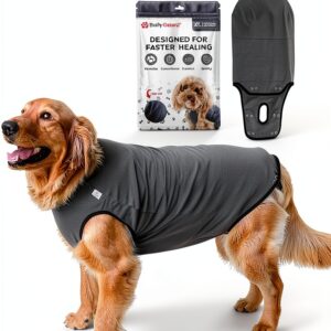 BellyGuard Dog Recovery Suit for Small Dogs Grey-0