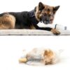Suitical Double Sleeve for Dogs Recovery-6