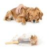 Dog Recovery Suit Suitical Cotton Lycra Fit-6