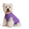 Dog Recovery Suit Coppthinktu Soft Zip Design-5